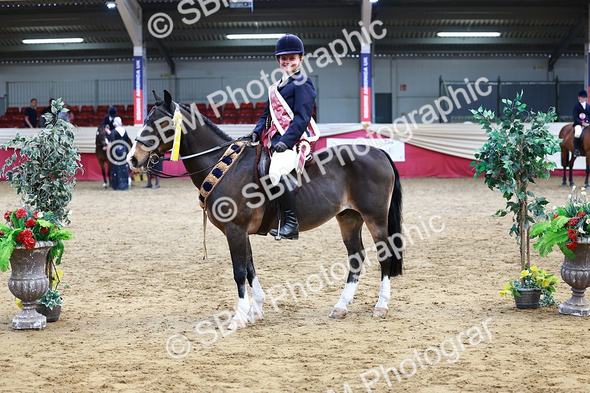 SBM_23511 - Class 904 - Supreme Final - Ridden Diamond