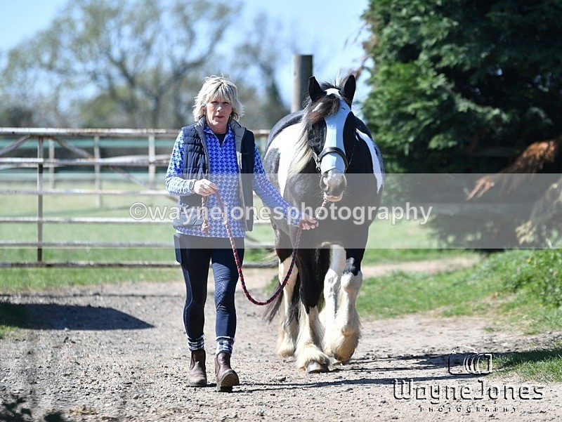 WJ5_1495 - Kelly Harris - Franklin balls, training at Tanners 05-04-25