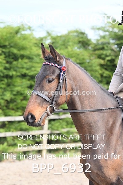 BPP_6932 - RING 1  (RIDDEN HORSES / IN HAND / VETERAN ETC)