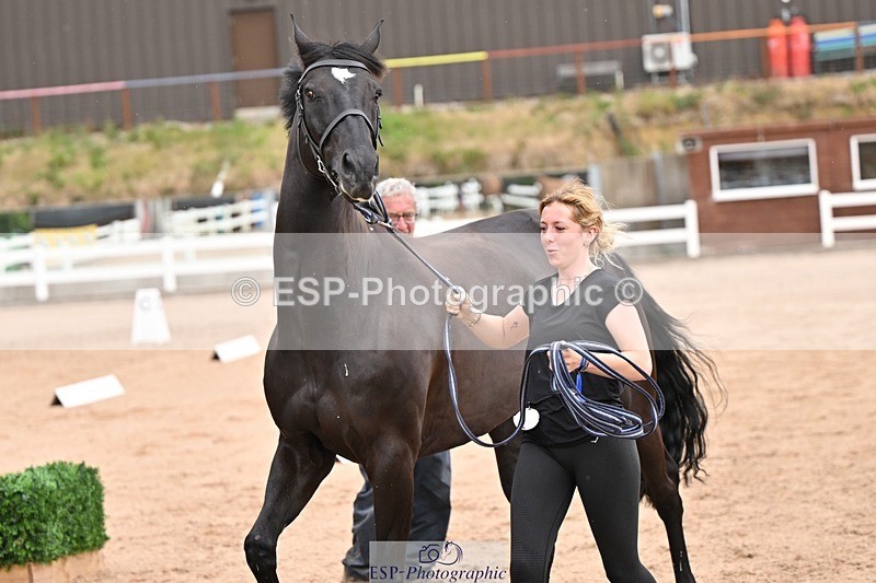 250716-151153-01752 - Trot Up 2.30 to 3.30