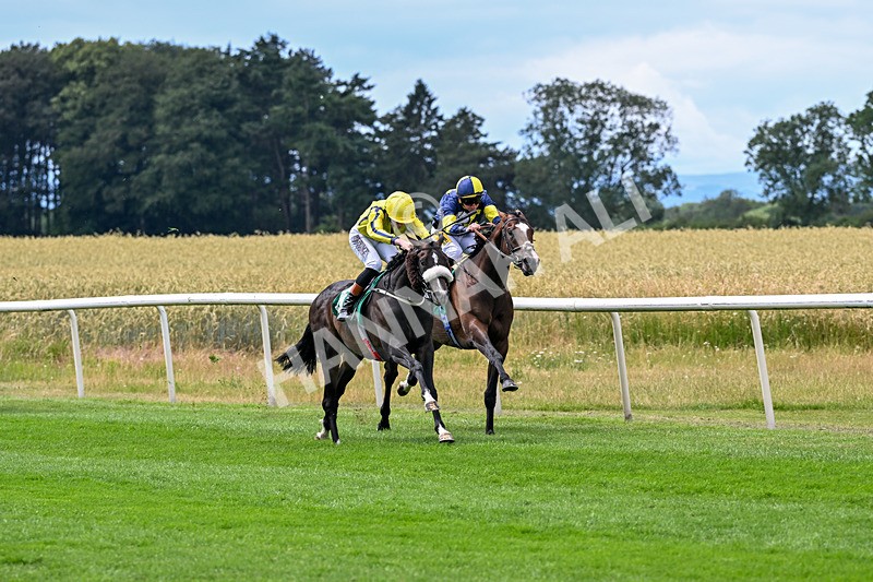 010726-Race 3-North Force-8123 - Race 3 14.08pm British EBF Novice Stakes