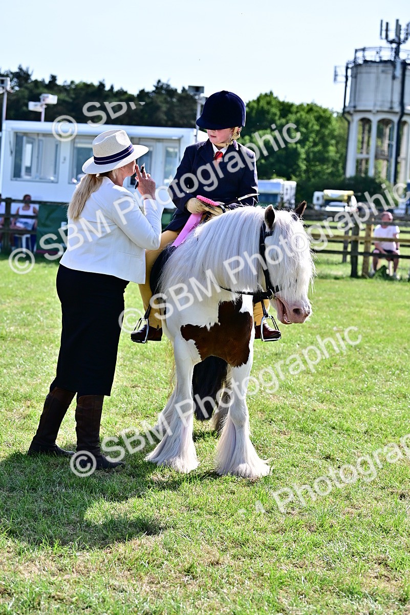 SBM_09440 - Class 63-65 - Traditional Gypsy Cobs In Hand & Ridden