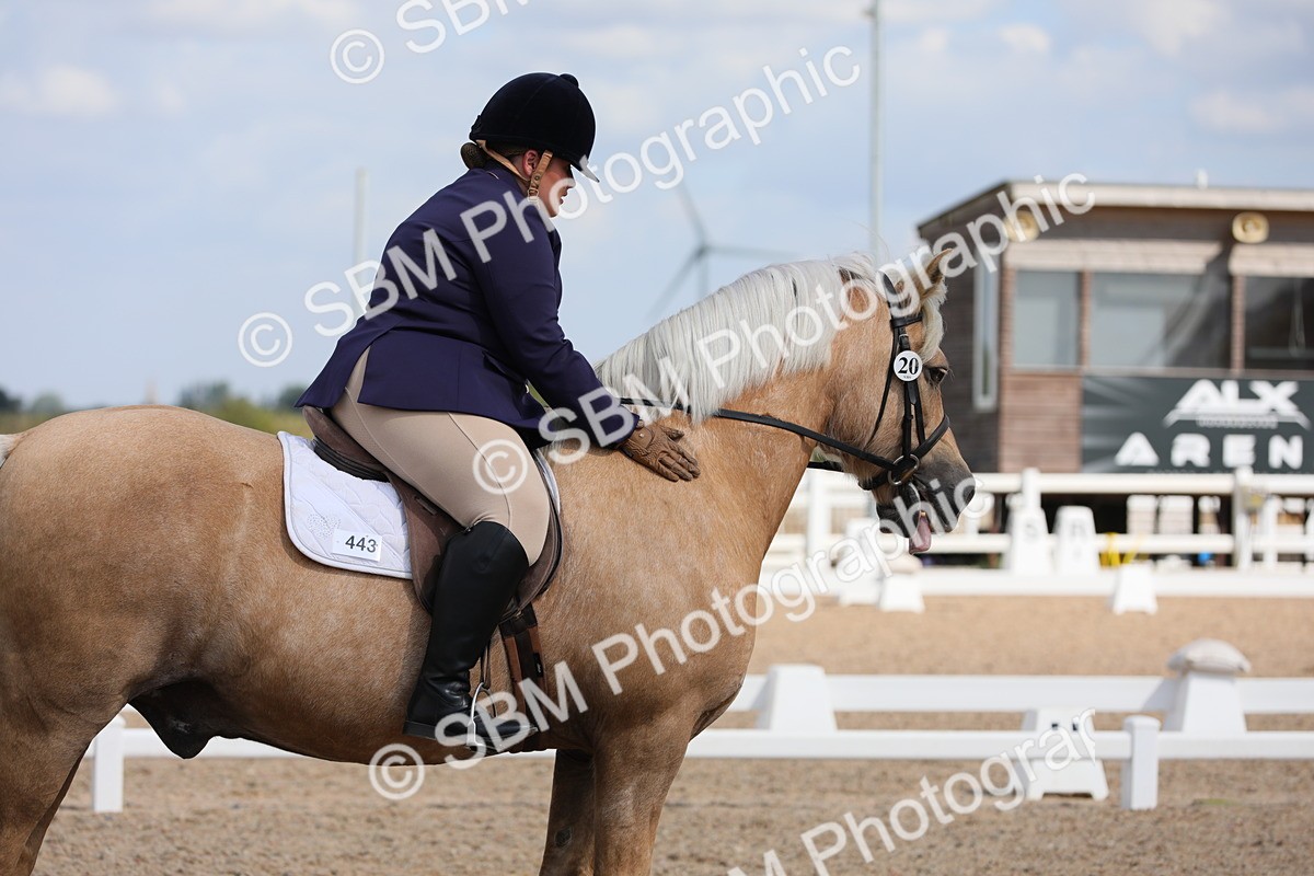 SBM_04049 - Class 31 Prelim 1