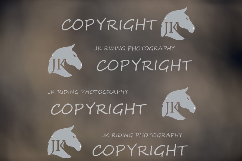 SBP_1025 - 10am - 11am