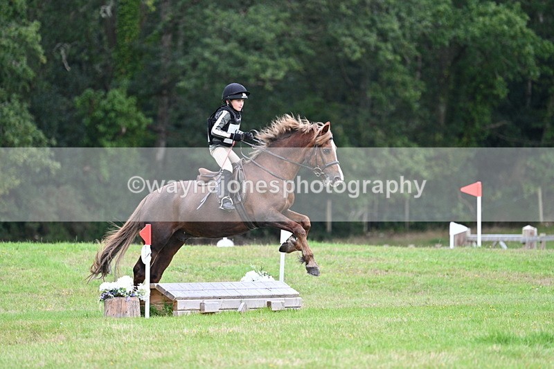 WJ7_7496 - 40cm Time 10:27 to 10:47