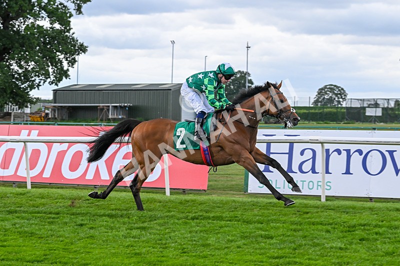 080825-Race 5-Paddy The Squire-2685 - Race 5