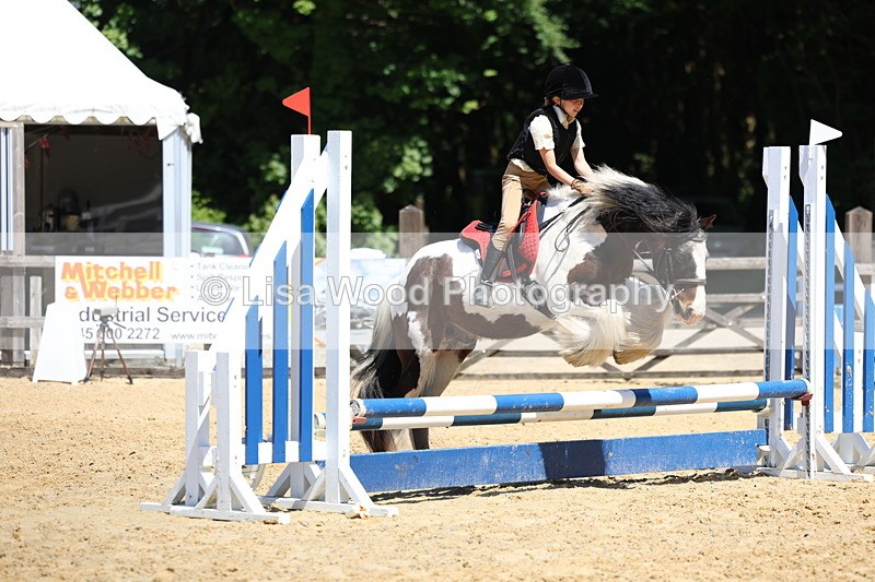 3E7A2577 - Class 4/5: 60cm Open Teams and Individuals