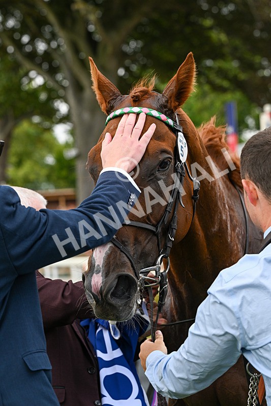 250726-Race 3-Item-0884 - Race 3 14.35pm Sky Bet York Stakes