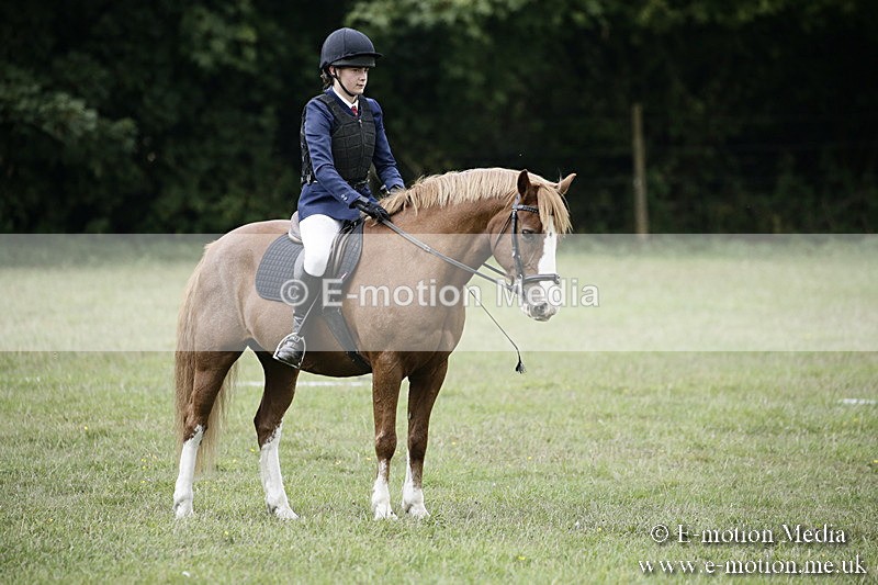 BVR090918 252 - BVRC Dressage and Show Jumping 09/09/18