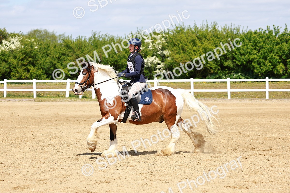 SBM_007813 - Class 3 - 60cm