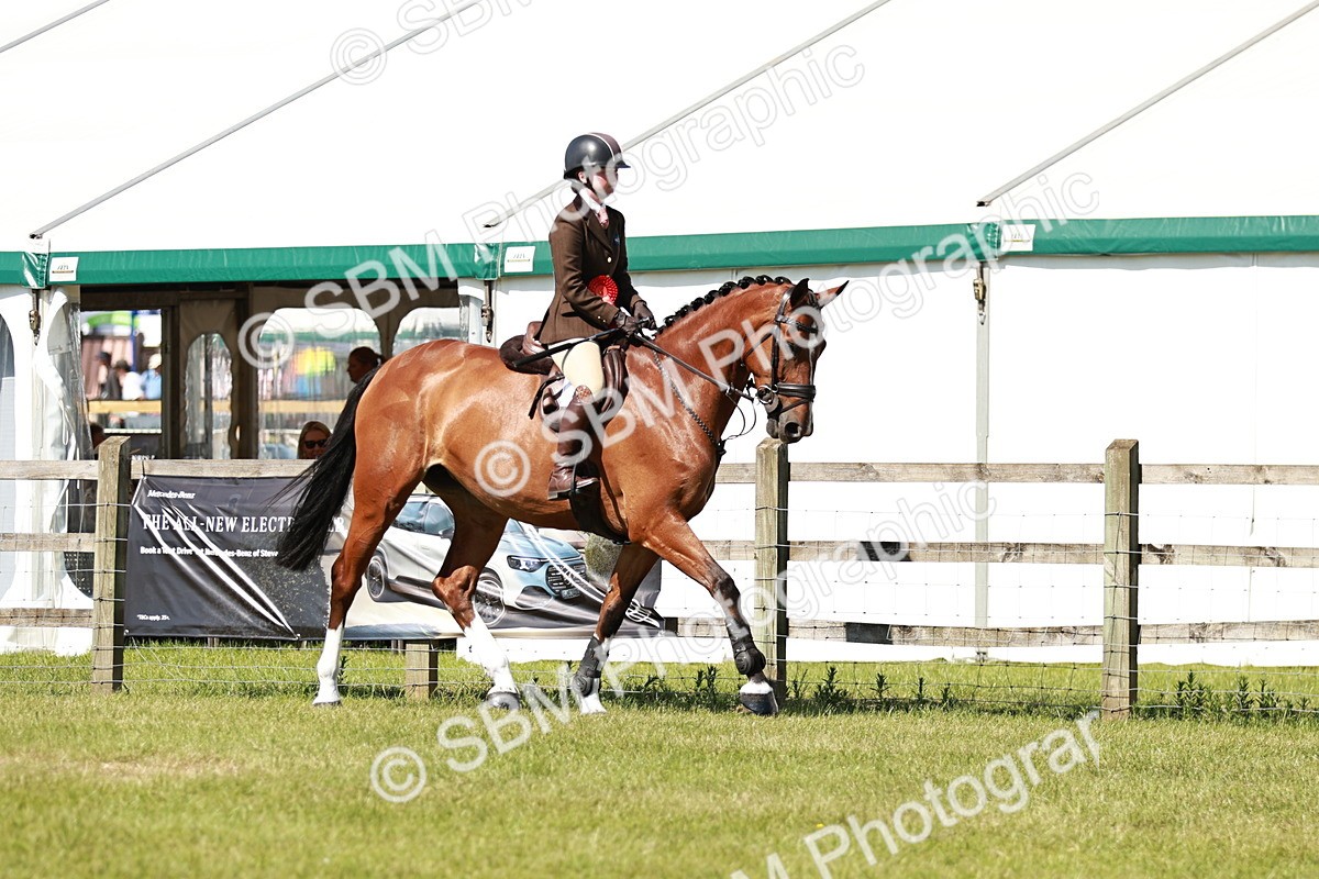 SBM_18503 - Class 112-113 - BSPS LIHS Working Sports Pony