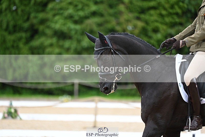 240524-144348-10368 - 534-SWIRLY_TEMPTRESS-Giovanni_Ugolotti