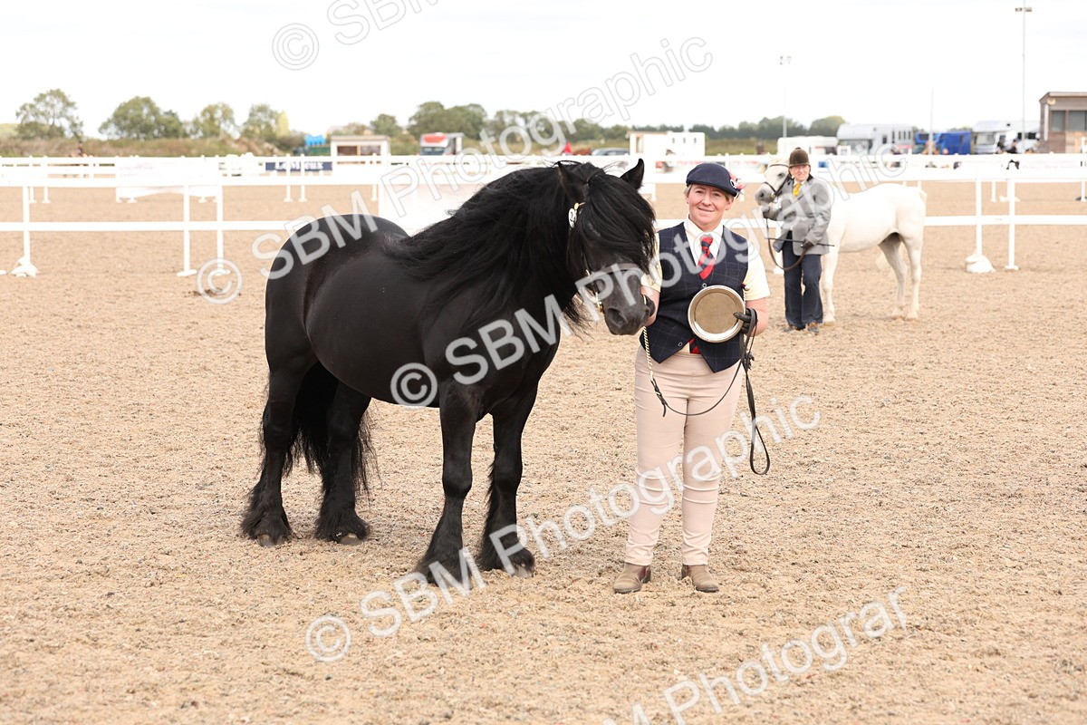 SBM_15142 - Class 209 - IH Veteran Pony