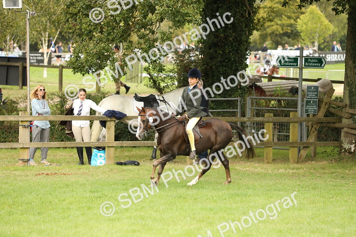 SBM_71650 - S41 - Ridden Equitation (Best Rider)