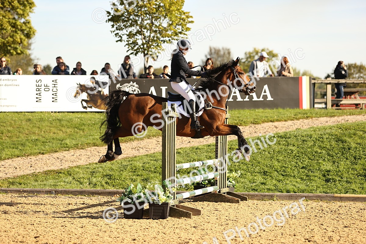 SBM_34712 - J38 - Senior 80cm Championship
