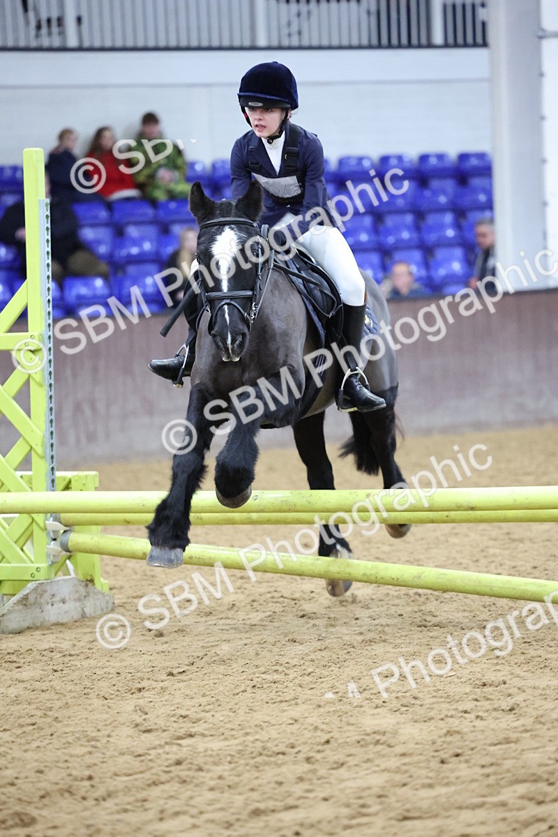 SBM_001151 - Class 3 - Christmas Tree Stakes - 60cm