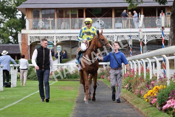 yr22072022r3-68 - Race 3 6.20pm Tomahawk Stakes