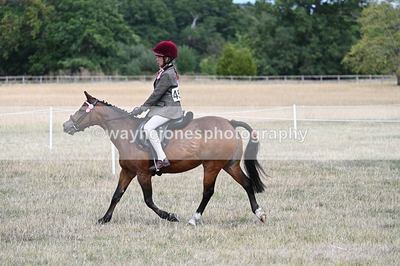 WJ7_5817 - Class 13 Ridden Veterans