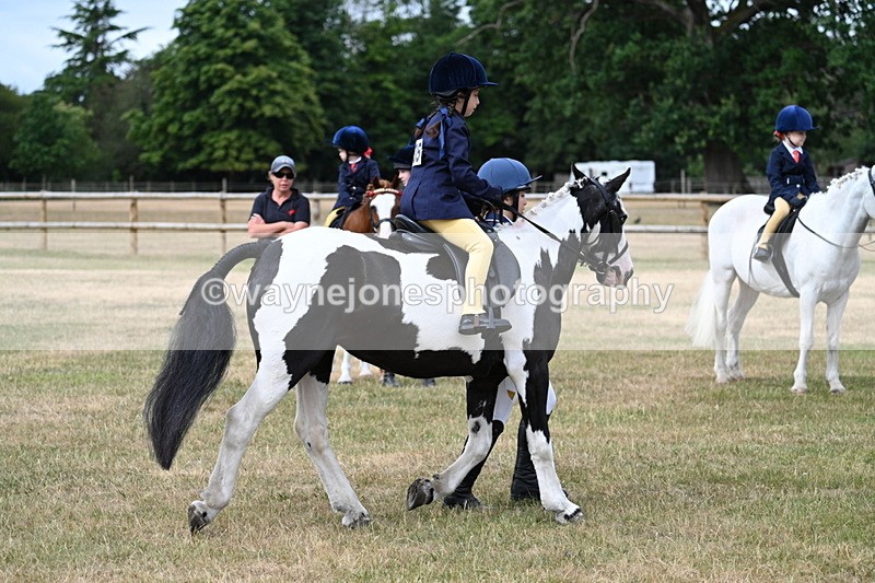 WJ7_9788 - Class 1 Lead Rein Pony
