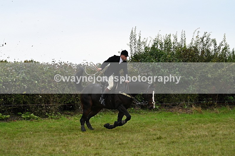 WJ7_4048 - Camera 1 Line 2