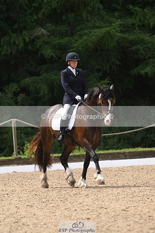 250720A-115624-10069 - 079-Amanda.Williams-Llanarth.Westminster