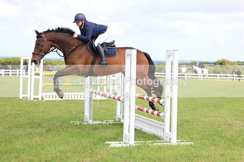 3E7A7553 - Class 13: Senior British Novice/90cm open