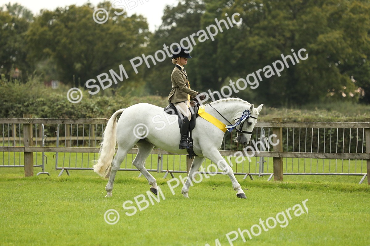 SBM_75428 - Equitation Supreme Championship