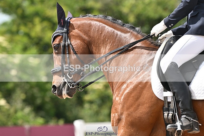 240621A-143433-03948 - Cls 11 BD Medium 73