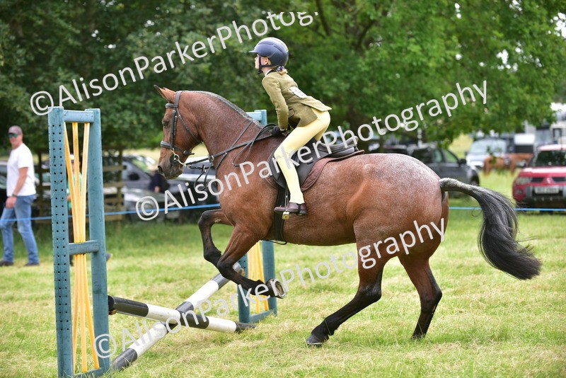 20260614-2680 - Class 13 - Pony Club Pony