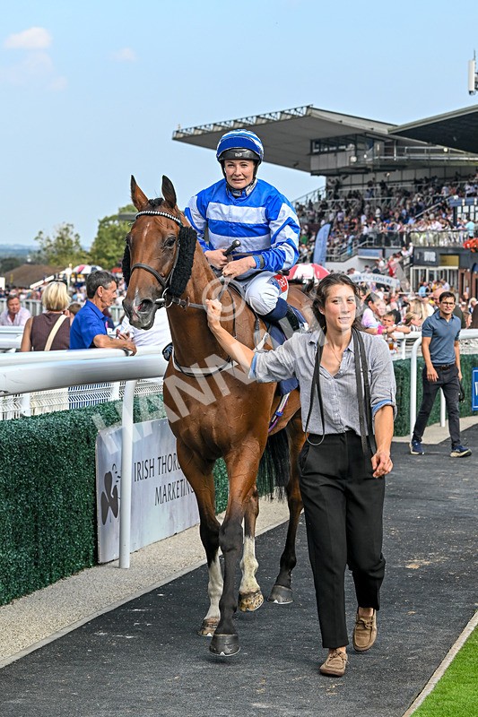 240825-Race 5-This Years Love-3478 - Race 5