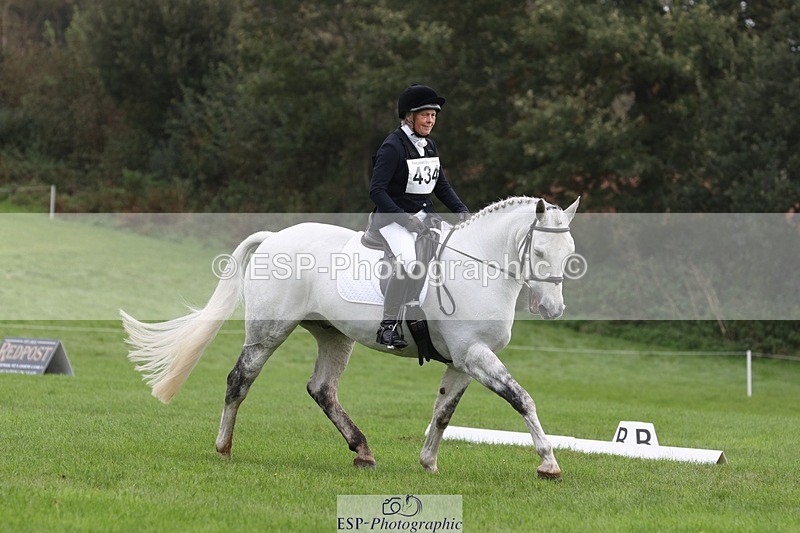 231019-122756-03645 - 434-SPINK.BUSTER-Sue.Parkes-DR