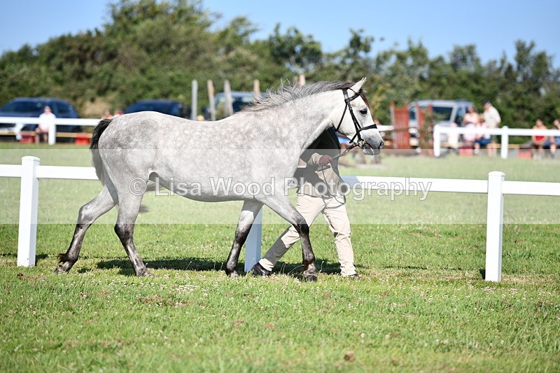 DSC_5929 - Class 51: NPS M&M 2/3 year olds