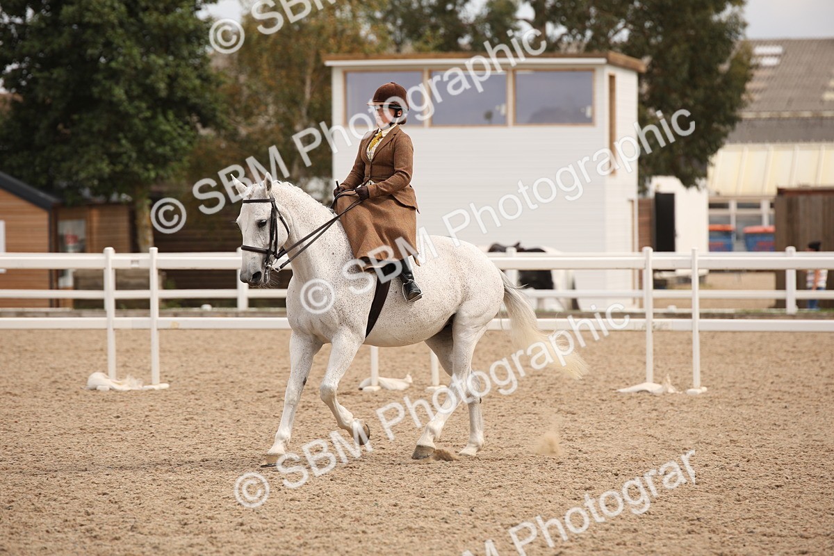 SBM_05424 - Class 22 SSA Equitation