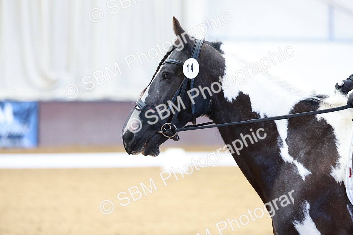 SBM_000071