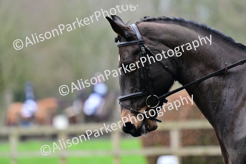 20260125-3768 - Class 12 - Novice