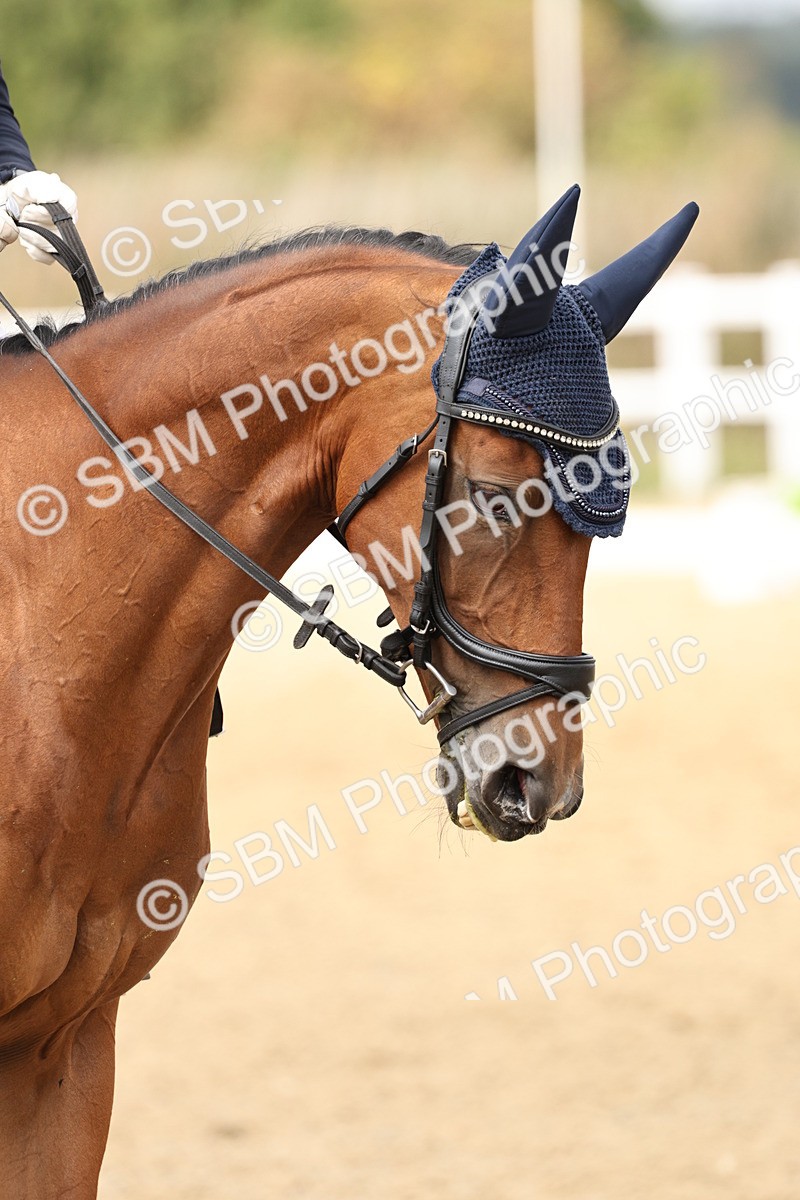 SBM_013216 - Class 3 - Novice 4 - 11.43-12.25