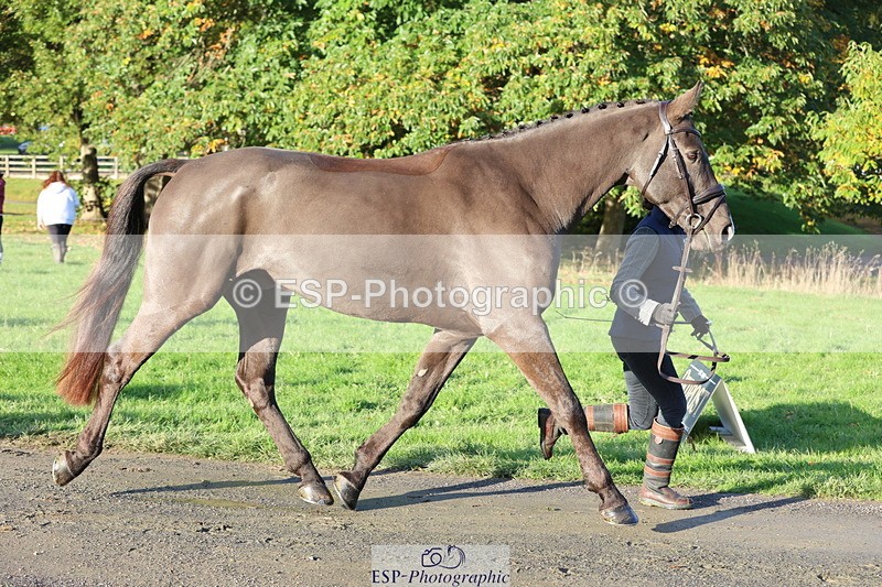 251026A-093848-22396 - D-317-Kate.Jupp