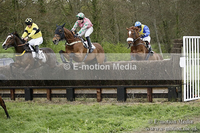 PtP 170417 537 - Old Berks Point-to-Point Lockinge 17/04/17