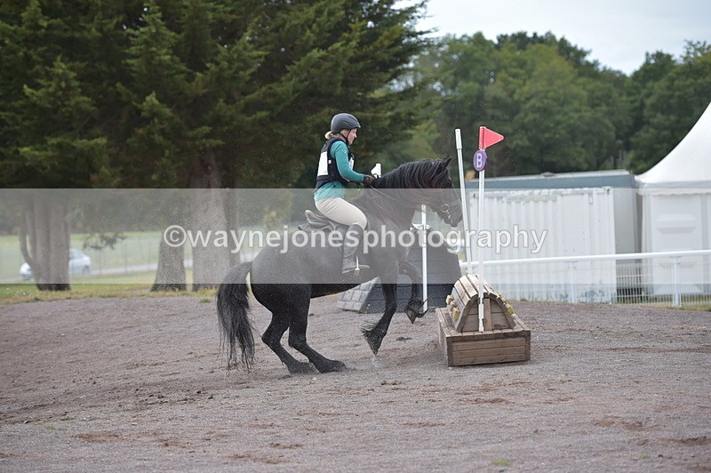 NGP_2825 - XC Time 11:37 to 11:57