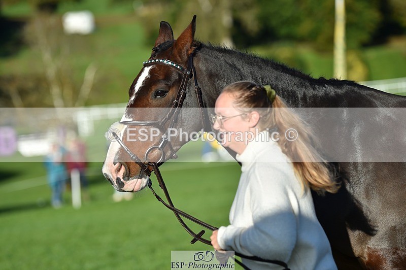 231022-094202-21984 - 444-REDHILL.SKANDEL-Emma.Stokes-TrotUp+SJ