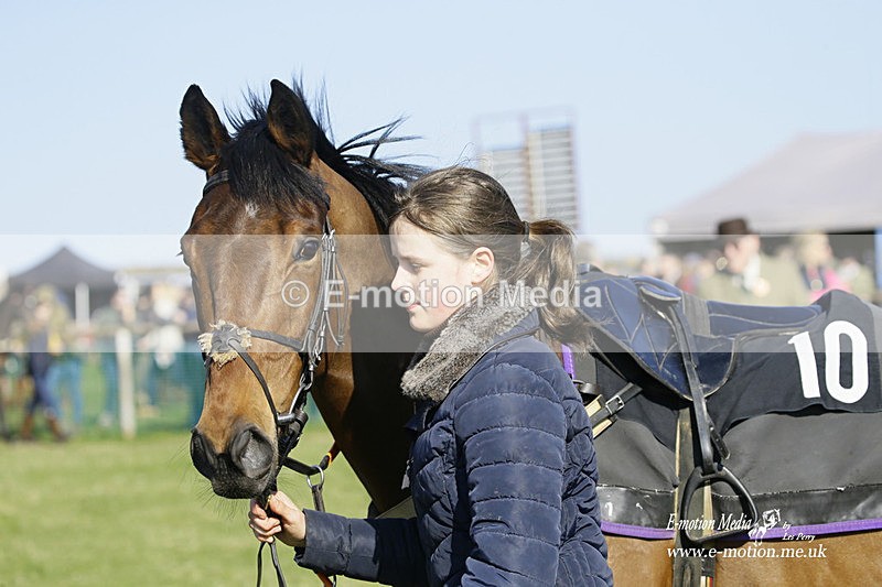 PtP 190322 638 - Wilton Hunt PtP Milborne St Andrew 19/03/22
