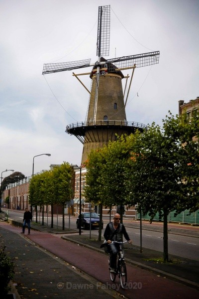  - Dordrecht - a closer look