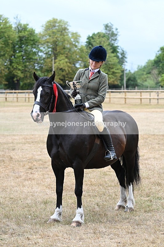 WJ7_1044 - Photo Shoots