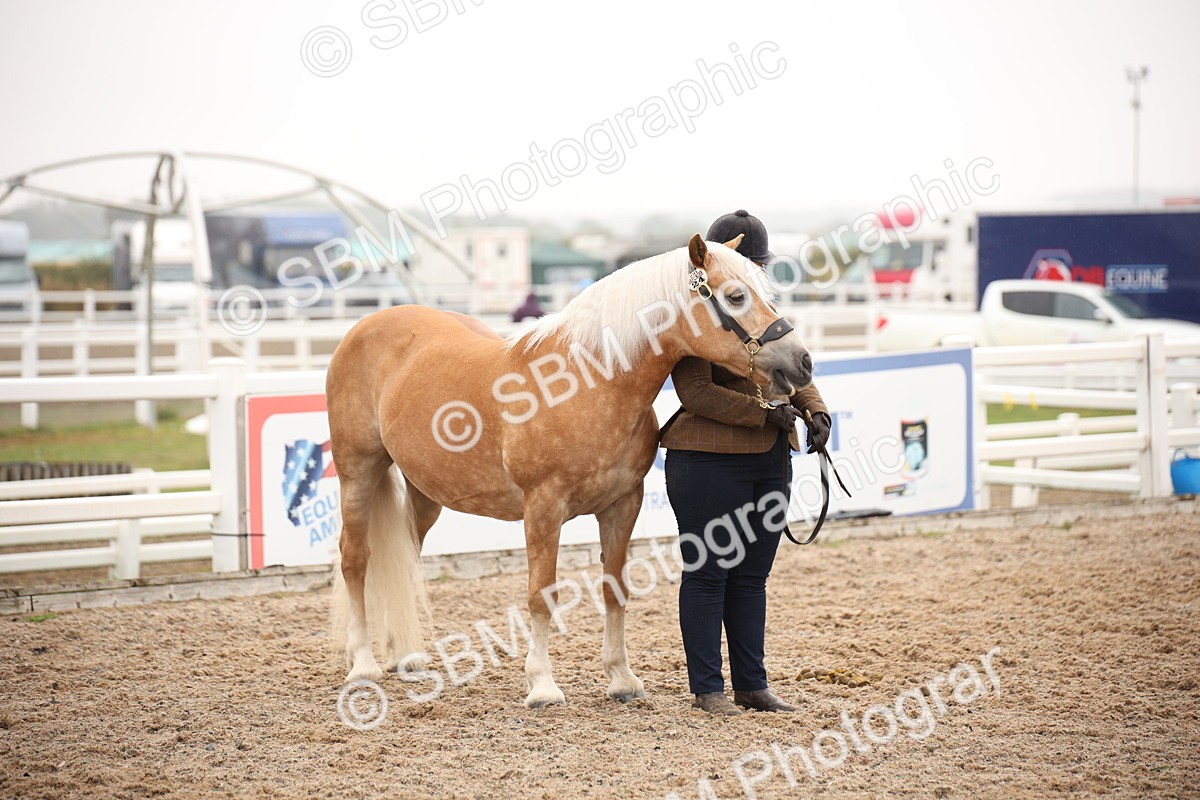 SBM_19299 - Class 701 - Best Turned Out IH & Ridden