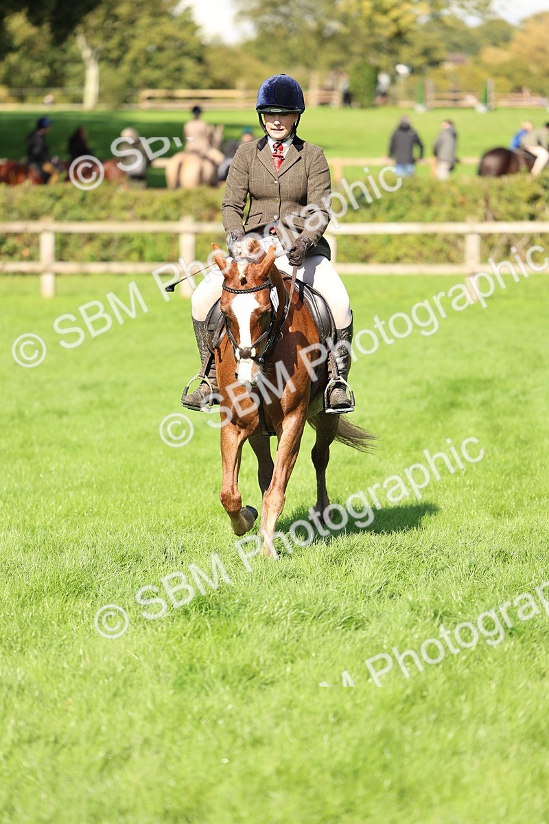SBM_45423 - S33 - Working Hunter Pony