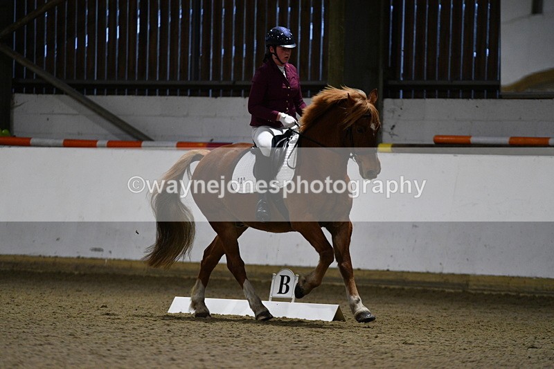 WJ5_8624 - Class 5 Novice Test 3