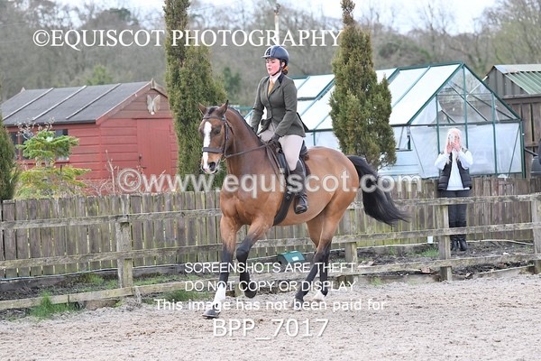 BPP_7017 - RING 1  (RIDDEN HORSES / IN HAND / VETERAN ETC)