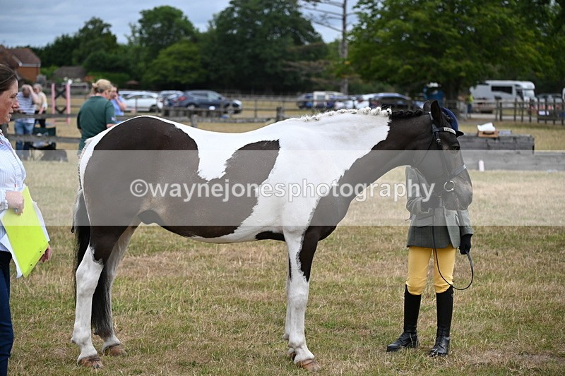 WJ6_4319 - Class 10 Coloured In-hand