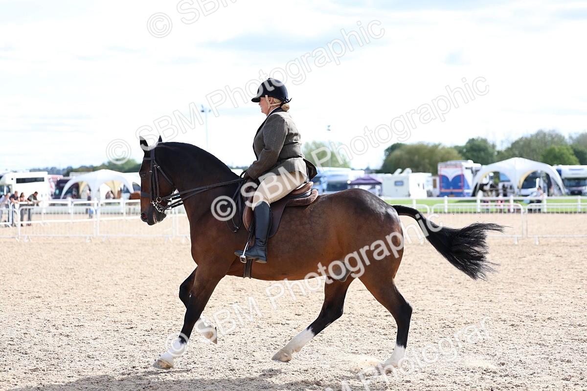 SBM_17212 - Class 315 - Best Horse - Rider Combination