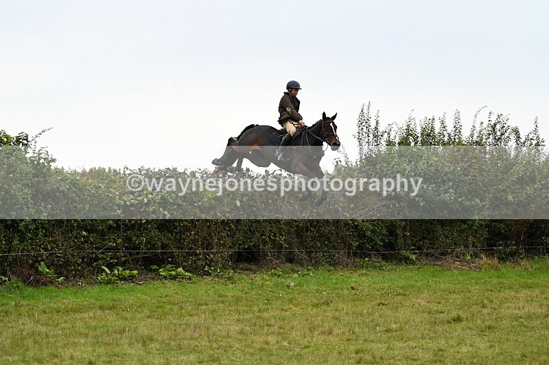 WJ7_4133 - Camera 1 Line 2